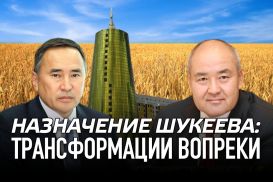 Назначение Шукеева: трансформации вопреки