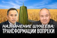 Назначение Шукеева: трансформации вопреки