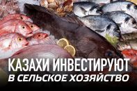 Казахи инвестируют в сельское хозяйство