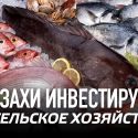 Казахи инвестируют в сельское хозяйство