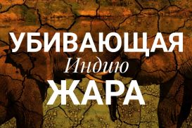 Населению предлагают охлаждающий жилет за $27 при доходе меньше $2 в день