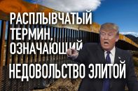 Великая американская стена как символ популизма