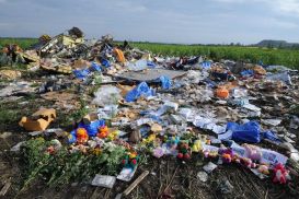 ЕСПЧ передал Москве иски родных погибших в катастрофе Boeing-777