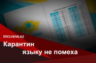 Дистанционное обучение актуализировало вопрос латиницы