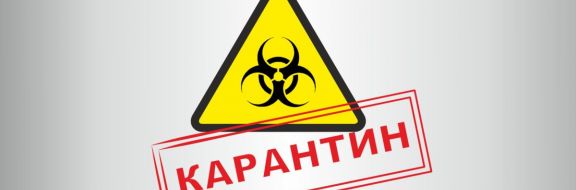 В ВОЗ призвали не возвращаться к повторному карантину