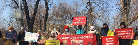 В Алматы провели митинг в защиту животных