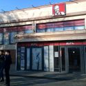 Еще одни деревья срубили в Алматы, на сей раз отличилась KFC