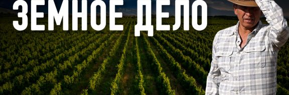 Arba Wine становится национальным брендом, меняя взгляд на Казахстан