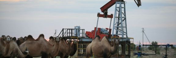 Продажа нефтяных участков принесла бюджету 61 млрд тенге