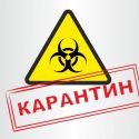 С 3 мая в Павлодарской области усиливают карантин