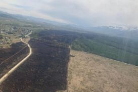 В Риддере потушили лесной пожар