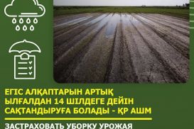  Минсельхоз: Уборку урожая от дождей можно застраховать только до 14 июля