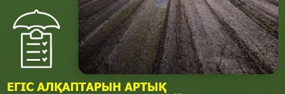  Минсельхоз: Уборку урожая от дождей можно застраховать только до 14 июля