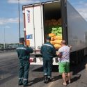 Россия запретила ввоз казахстанских продуктов