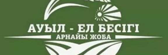 Президент поручил разработать отдельные направления в рамках программ «Ауыл – ел бесігі», «Дорожная карта бизнеса» и упомянул о сокращении госслужащих