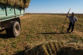 Зарплаты в сфере сельского хозяйства почти на 40% ниже, чем в среднем по стране