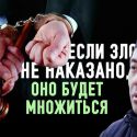 Адвокат против системы