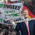 Победа Трампа огорчает немцев