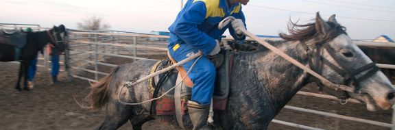 Половина казахстанцев работает в агросекторе