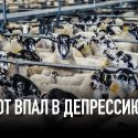 Скот впал в депрессию