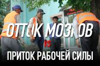 Отток мозгов Vs приток рабочей силы (Часть I)