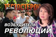 Неудовлетворенный мужчина – готовый революционер