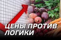 Цены против логики