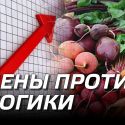 Цены против логики