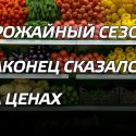 Урожайный сезон наконец сказался на ценах