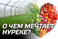 О чем мечтает Нуреке или о шансе Байбека остаться в истории