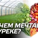 О чем мечтает Нуреке или о шансе Байбека остаться в истории