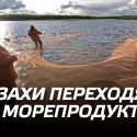 Казахи переходят на морепродукты