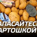 Запасайтесь картошкой